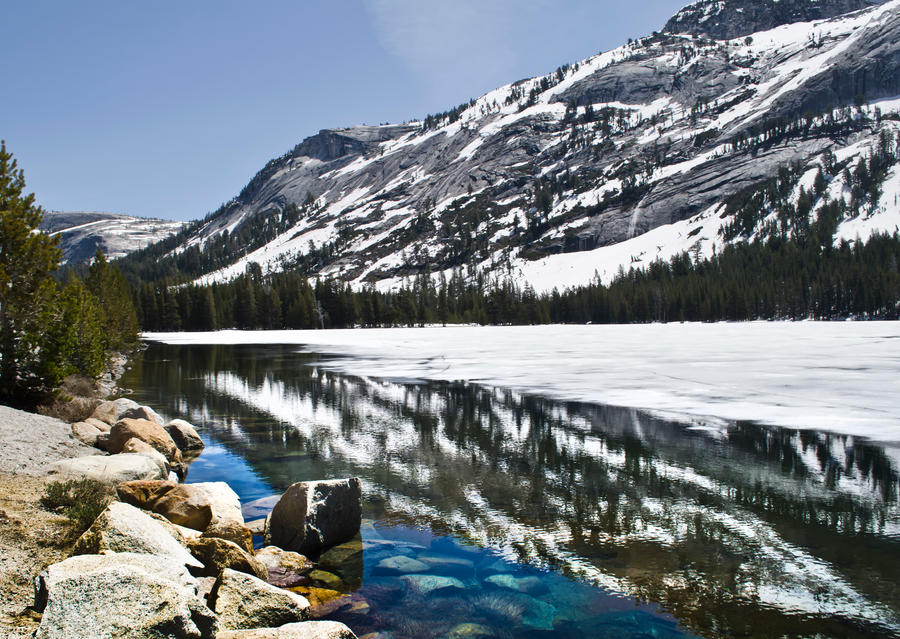 Yosemite National Park 10111