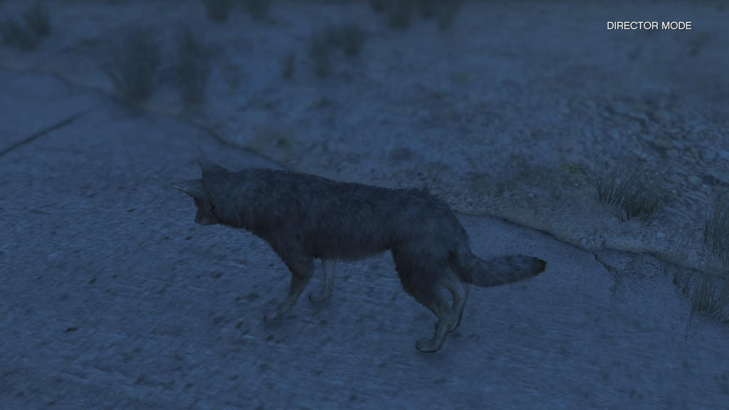 GTA V Coyote upper side