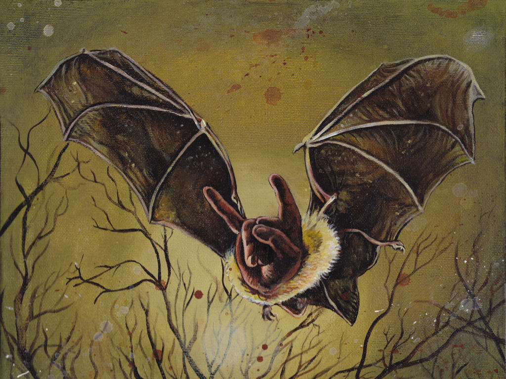 Batsign 1 by bedowynn Batsign 1 by bedowynn