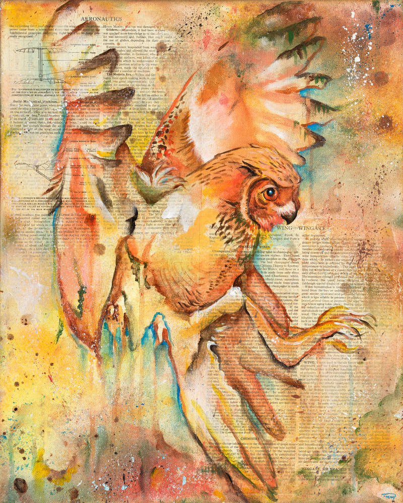 The Owls Are Not What They Seem V by bedowynn The Owls Are Not What They Seem V by bedowynn