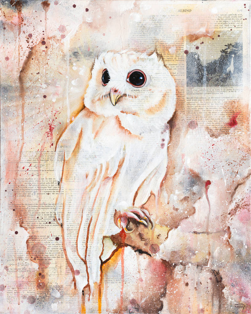 The Owls Are Not What They Seem VII by bedowynn The Owls Are Not What They Seem VII by bedowynn