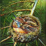 Angels' Nest