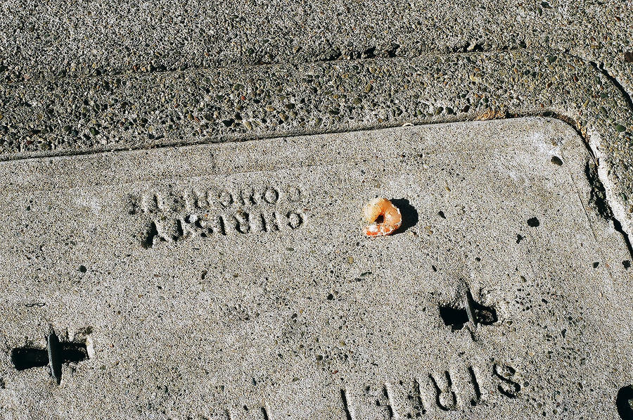 Sidewalk Shrimp