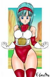 Bra Saiyajin Armor