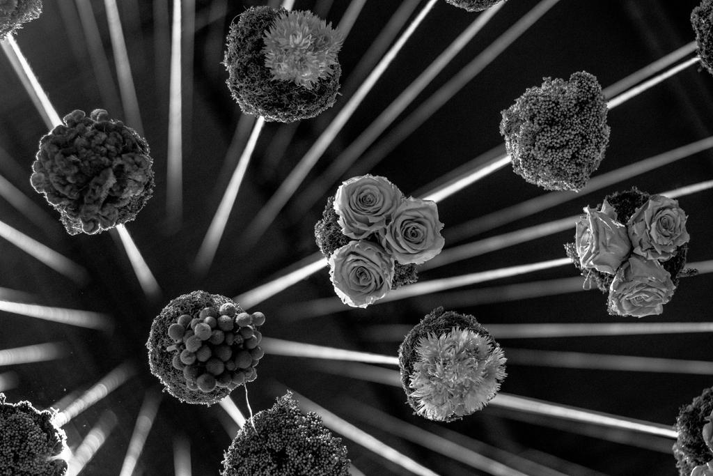 Flower show ceiling