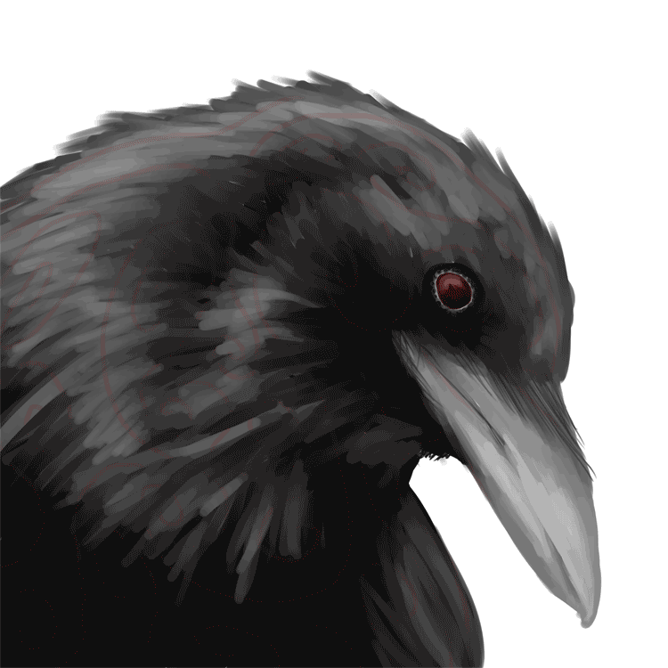 Gif Ravan Raven GIF by Picatso1 on DeviantArt