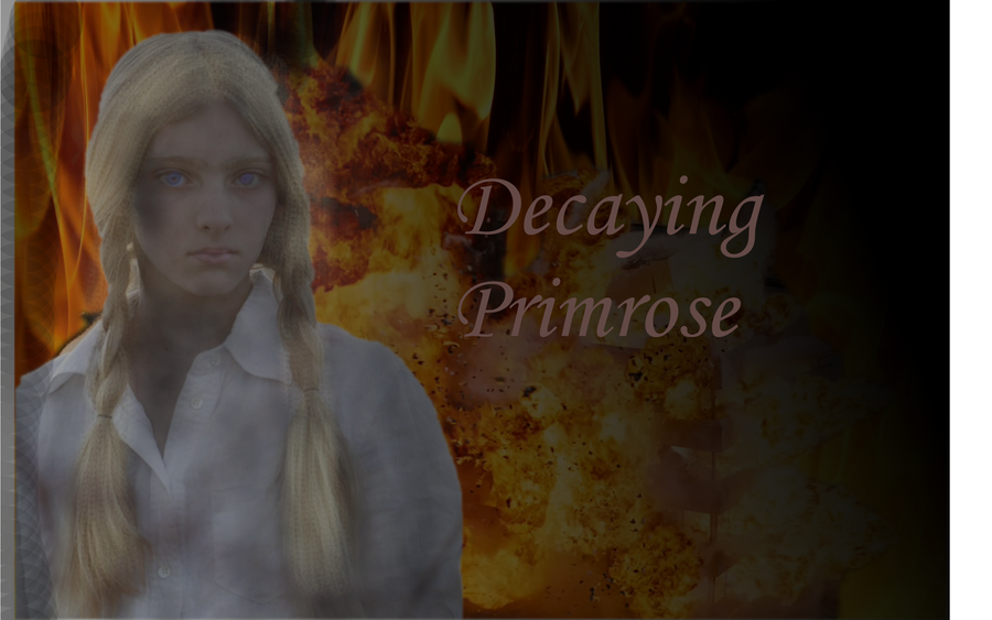 Decaying Primrose