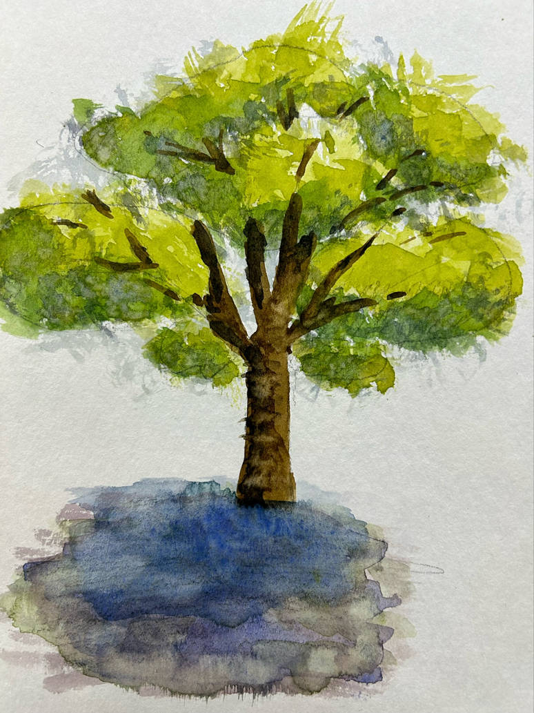 Simple Normal Tree normal tree by illustration-rorie on DeviantArt