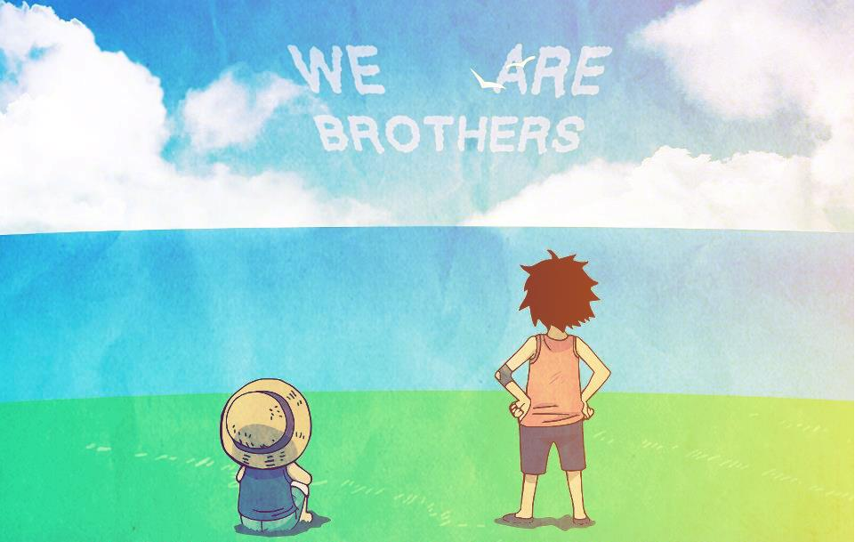 Luffy and Ace - We Are Brothers