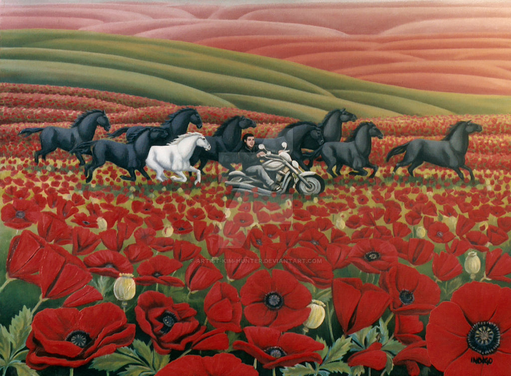 Poppy Fields Oil Painting