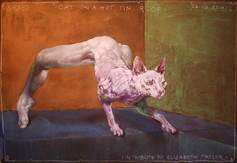 cat on a hot tin roof