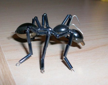 Bead and wire ant