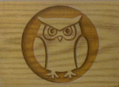 Owl