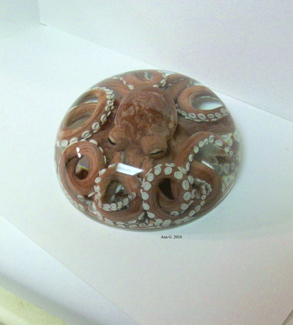 Octopus paperweight