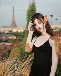 Rachel's Easter - A Rabbit in Paris