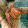 Phoenix Bodypainting