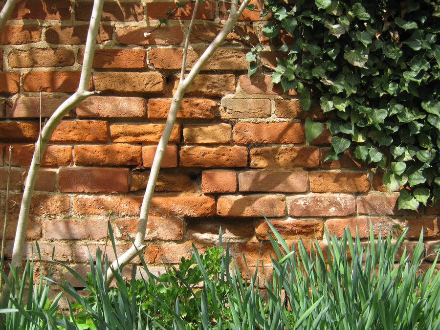 Brick Rot Stats Red brick rot by mdu-ntr on DeviantArt