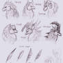 Gryphon species sketches