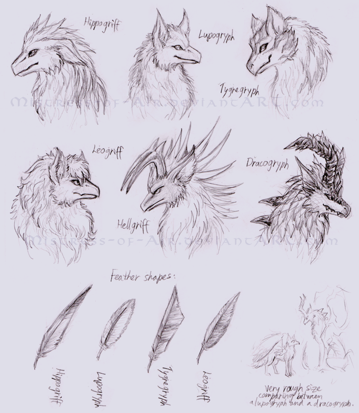 Gryphon species sketches