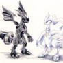 Reshiram vs. Zekrom