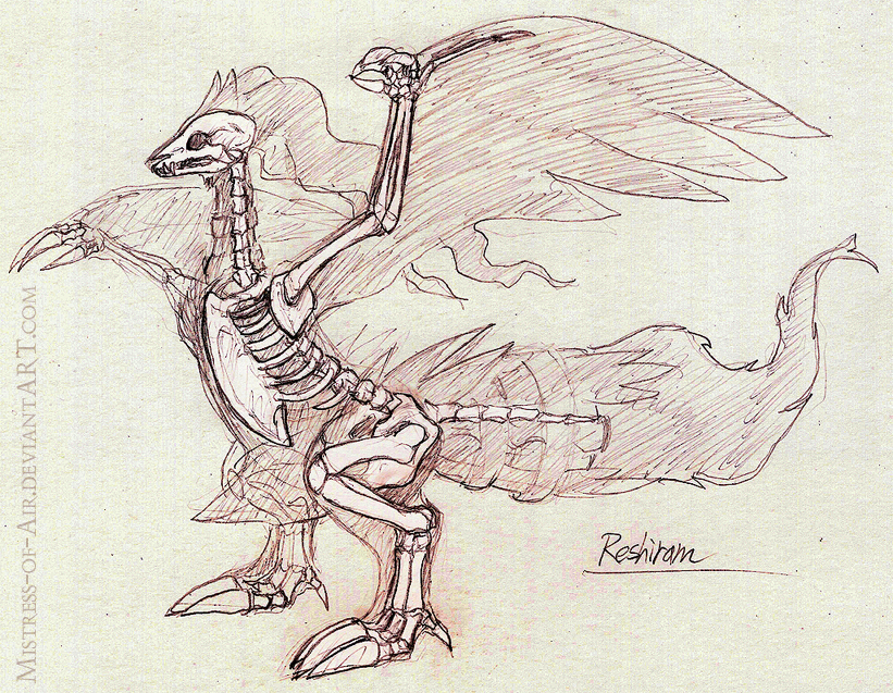 Reshiram Skeleton Study