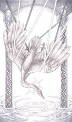 The Hanged Man