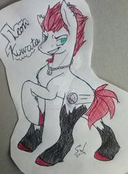 pony: Leon Kuwata