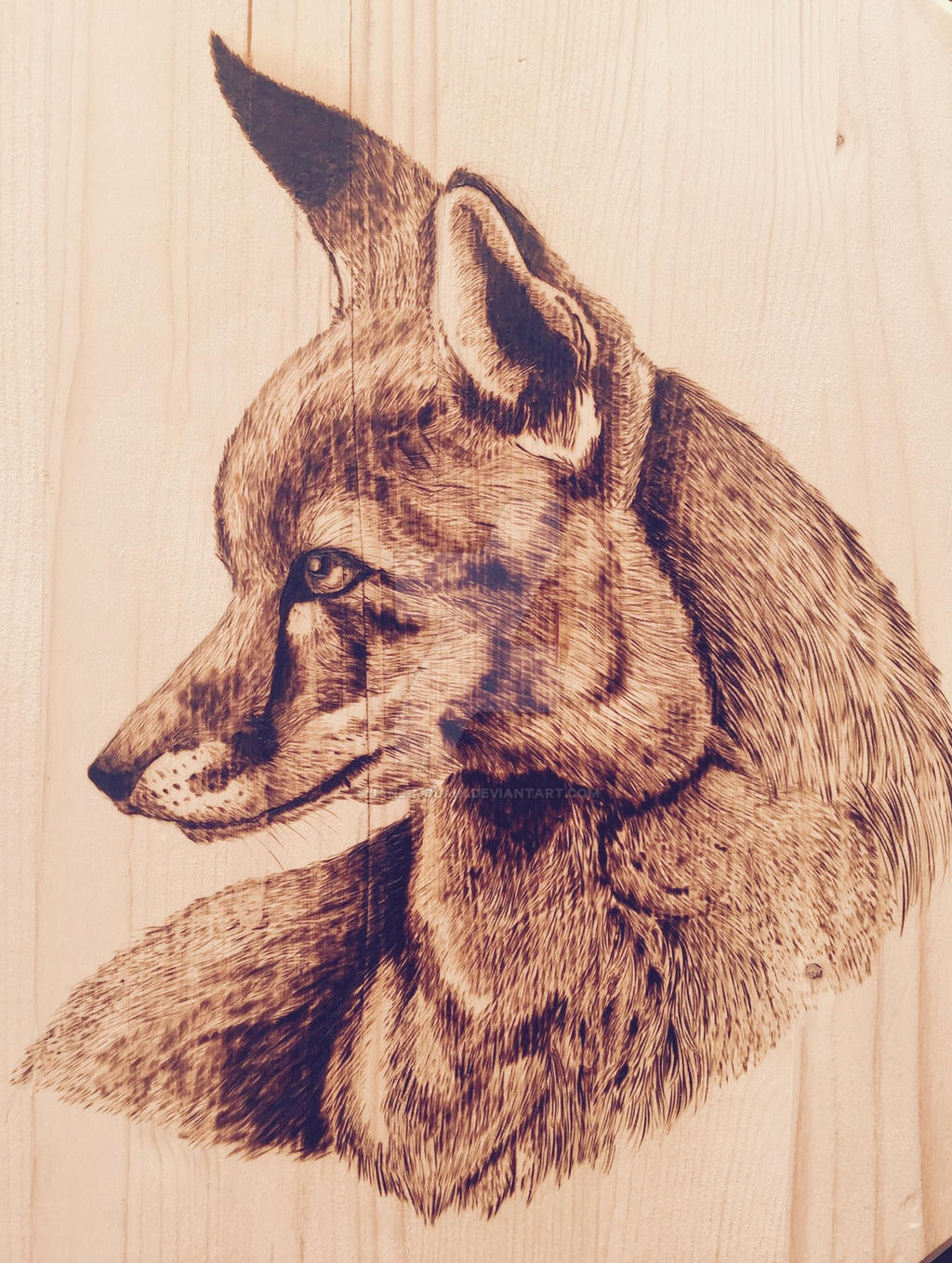 Pyrograph Fox Pyrography - Fox by Jane-McLain on DeviantArt