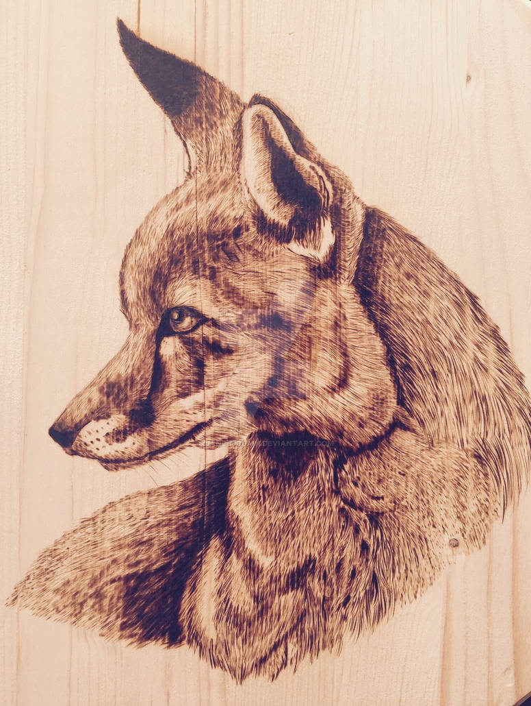 Pyrography - Fox by Jane-McLain on DeviantArt