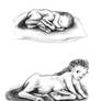 Newborn and baby centaur