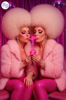 Poodle Popper Twin Preview