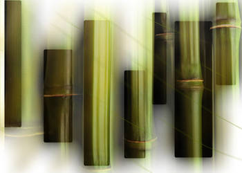 Bamboo Breakup