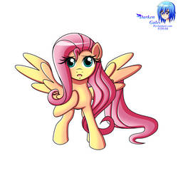 Fluttershy 3