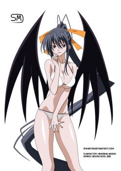 High School DxD Himejima Akeno Vexel