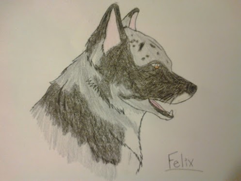 A drawing of Felix