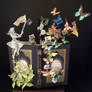The Book Collector