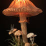 Mushroom Lamp (crepe paper)