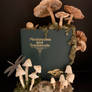 Mushrooms and Toadstools