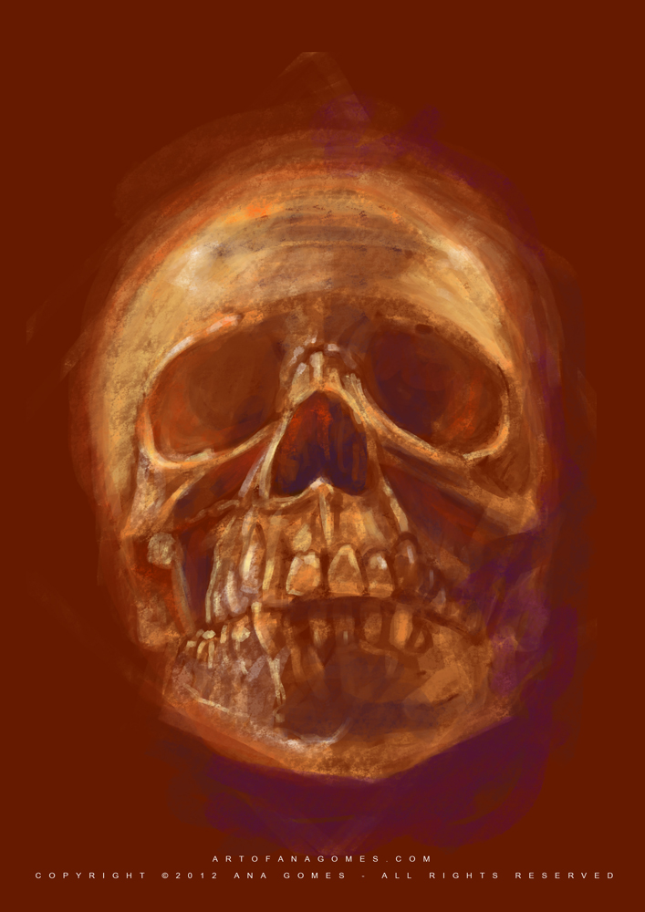 Human skull II