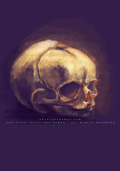 Fetus skull