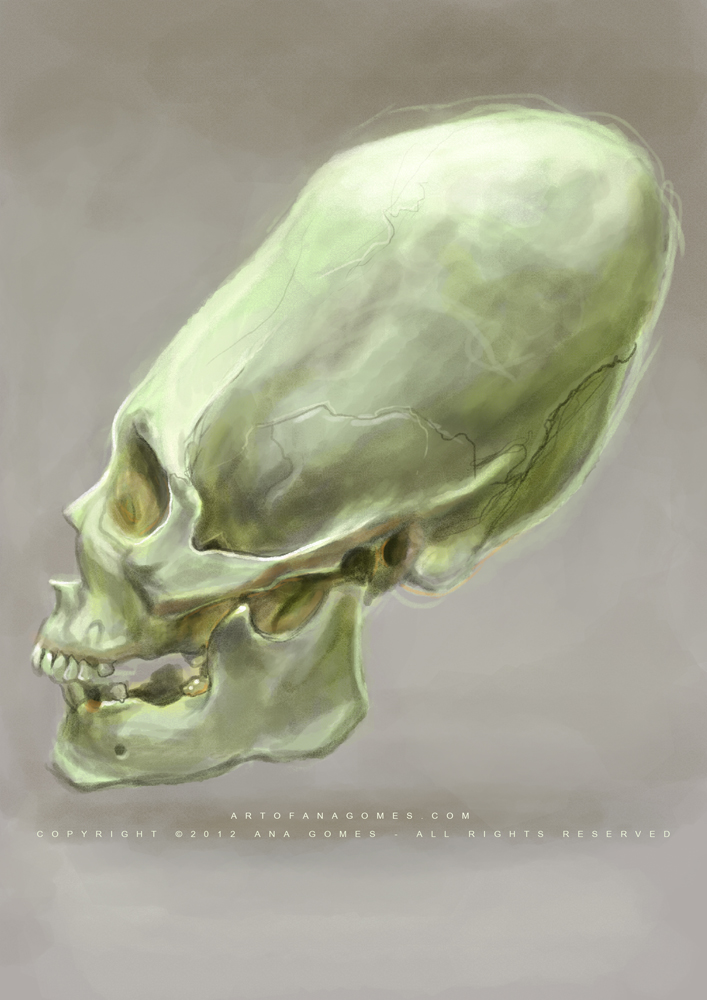 Elongated Skull