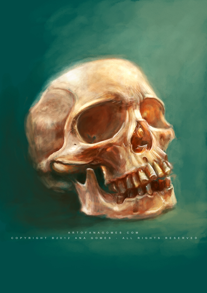 Human skull III