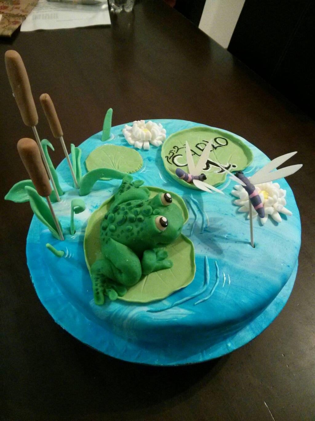 frog chocolate cake