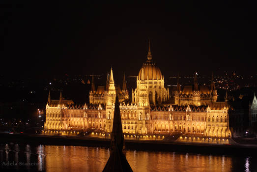 The Hungarian Parliament Building