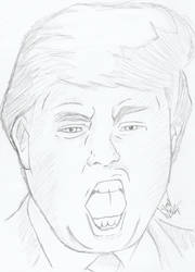 Donald Trump Caricature