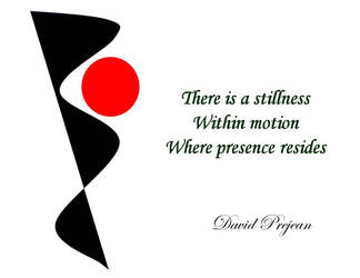 Stillness Within Motion