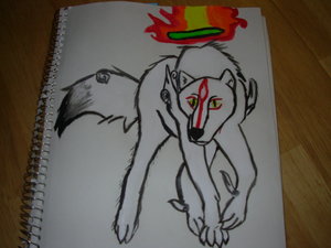 Okami: B.L.