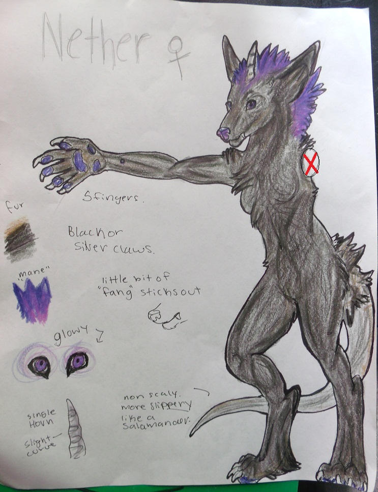 Nether Reference Nether reference by snowfox41011 on DeviantArt
