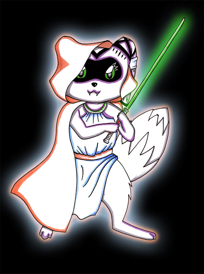Sw Raccoon SW RACCOON by BKGJ on DeviantArt