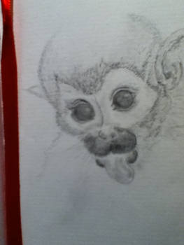 Monkey sketch
